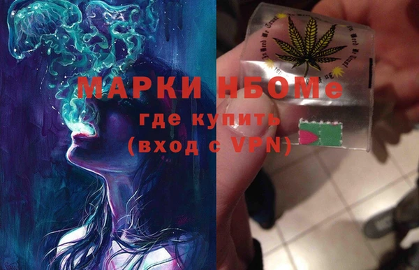 прущие грибы Абинск