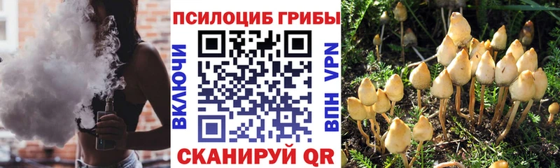 Галлюциногенные грибы мицелий  мега ТОР  Урюпинск 